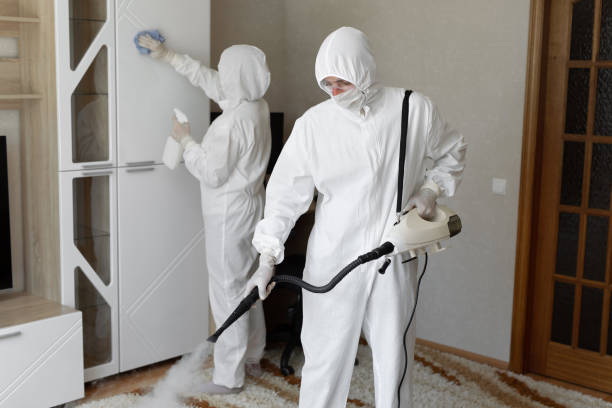 Best Industrial Mold Remediation in Leona Valley, CA