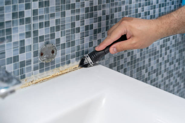 Best Mold Remediation for Specific Building Types in Leona Valley, CA