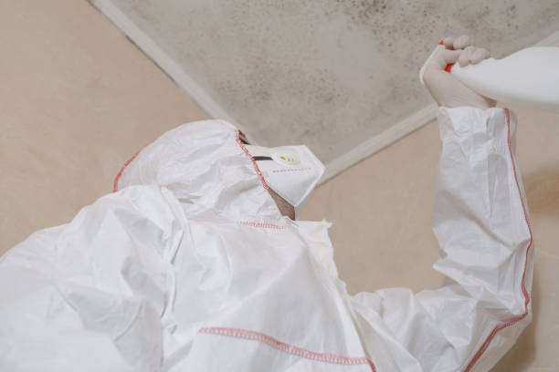Best Post-Flood Mold Remediation in Leona Valley, CA